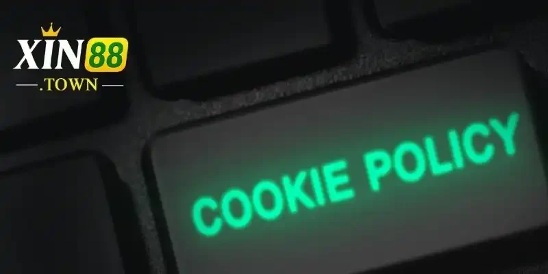 Chính sách cookie 3 Quyền người dùng liên quan